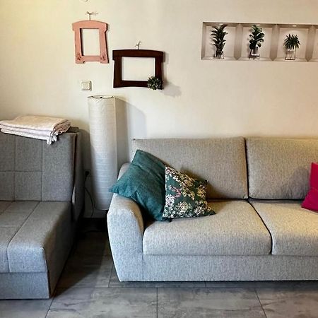 Lara Deluxe Superior 5 Star Apartment, Your Piece Of Heaven By The Sea & Park Novigrad Istria Εξωτερικό φωτογραφία